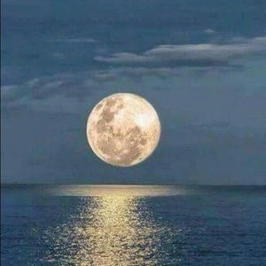 Meet your Posher, Robyn